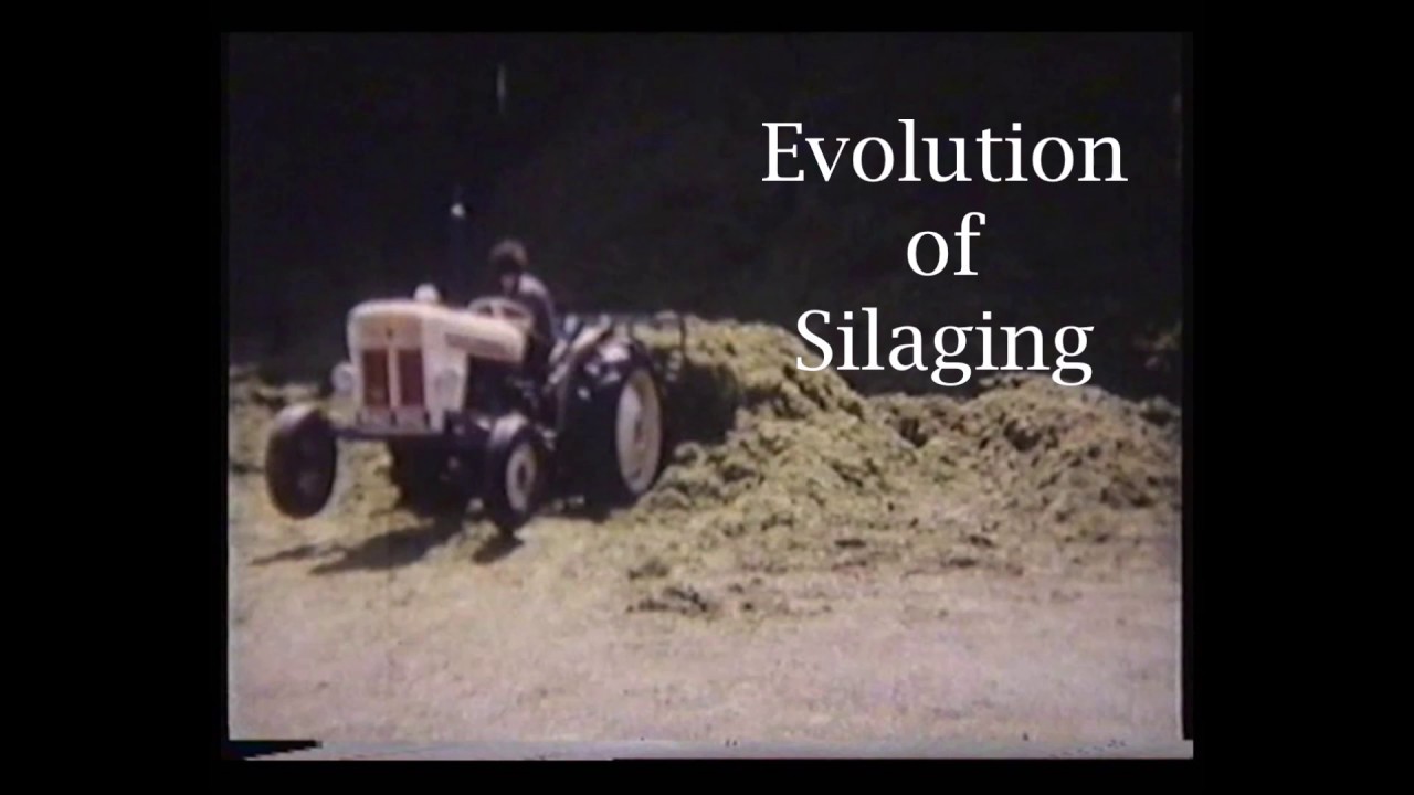 from old to new silaging