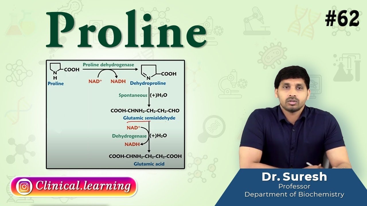 62. Proline