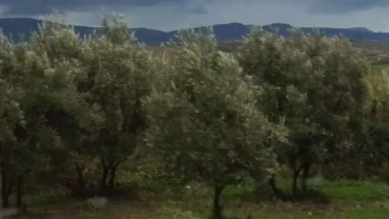 جوله رائعه في طريق من مدينة مكناس إلى مدينة جرف الملحه