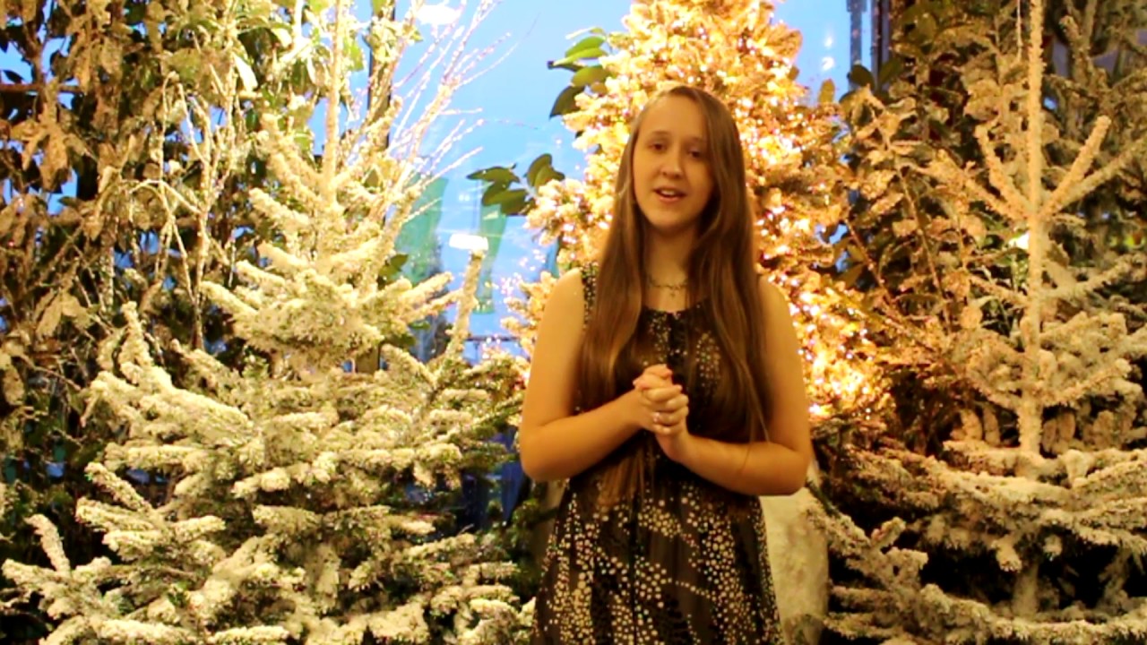 Marie-Juliette | Christmas Evening (Official Video)