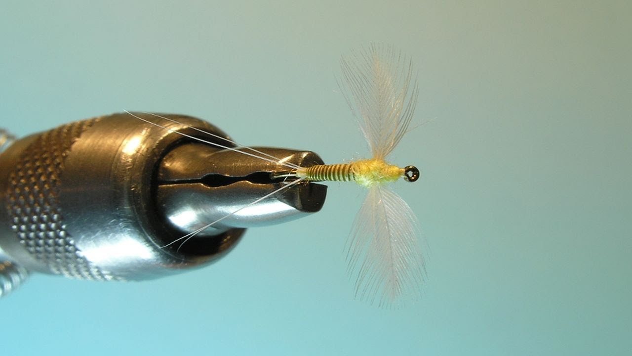 East Meets West #1 Hairwing Royal Coachmen