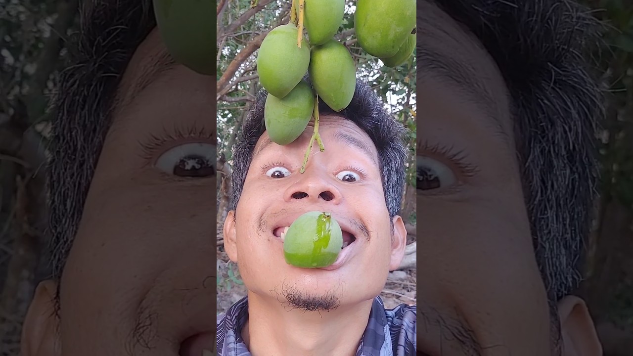 Survival Skills: SIMPLE and USEFUL with Mango eating skills #120 #fruit #mango #eating #satisfying