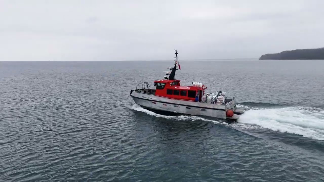 Foniks Spirit Załadunek Marina Gdynia 12 12 2025 4K