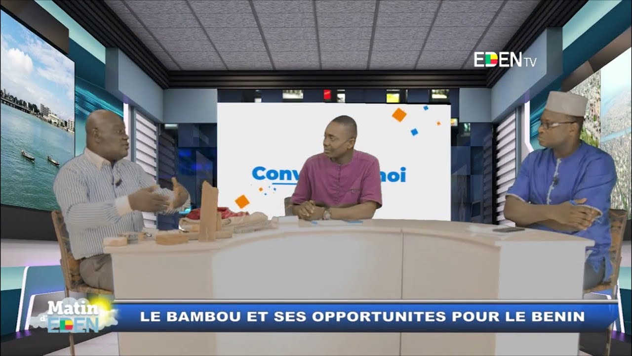 Le Bambou et ses opportunités pour le Bénin | (Convaincs-Moi)