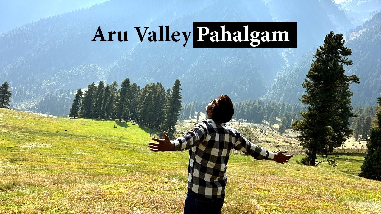Aru Valley Kashmir | Switzerland of India  #exploreindia #travel #kashmirvalley #viralvideo