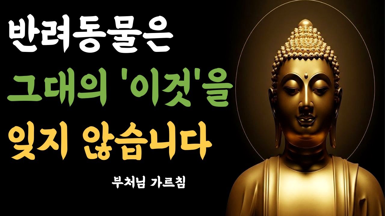 그 아이는 떠난 게 아닙니다 | 반려동물 | 위로 | 힐링 | 그리움 | 인연