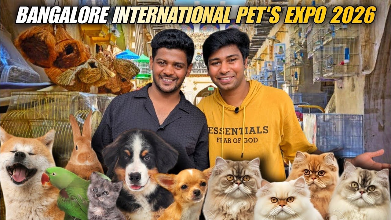 Bangalore biggest international Cat's and dog's Expo 2026 ❤️ | pet Fed pet festival 2026