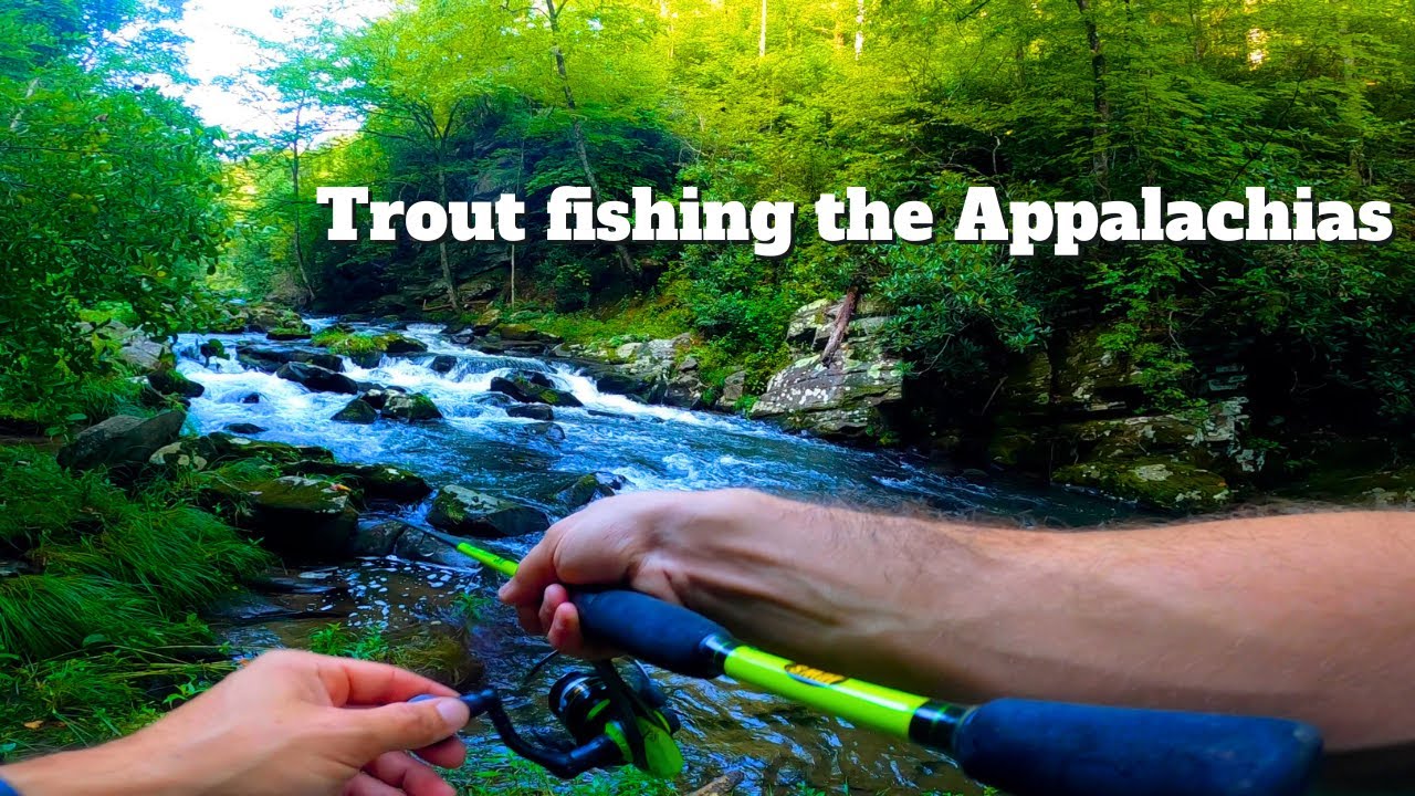 ASMR Trout Fishing in the Appalachians – Relaxing River Sounds & Chill Music