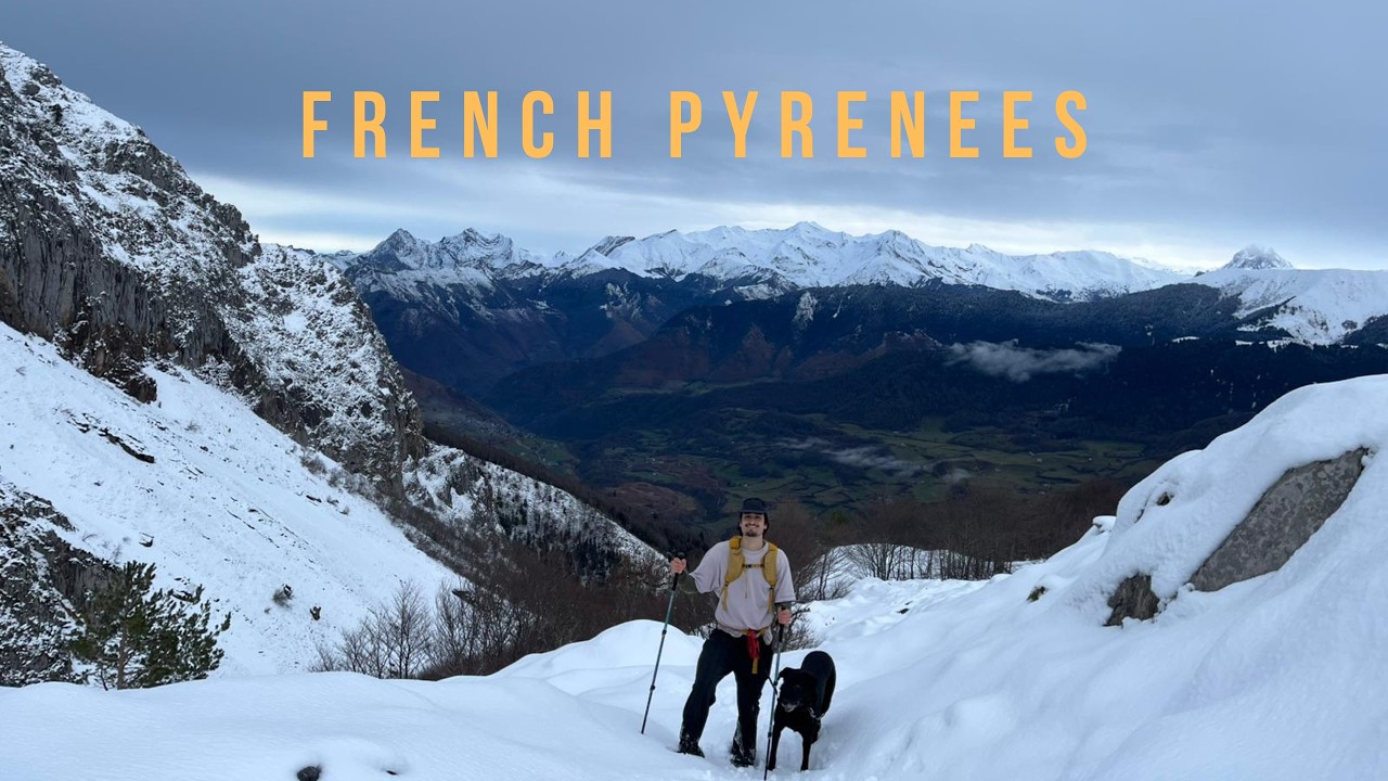 I spent 20 days in the French Pyrenees pet sitting.