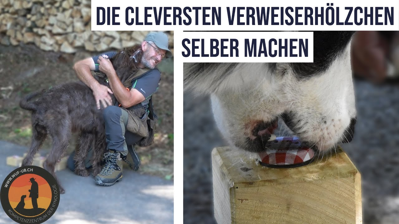 Dem Hund das Verweisen auf einfachste Art beibringen | Hundeschule U.B.