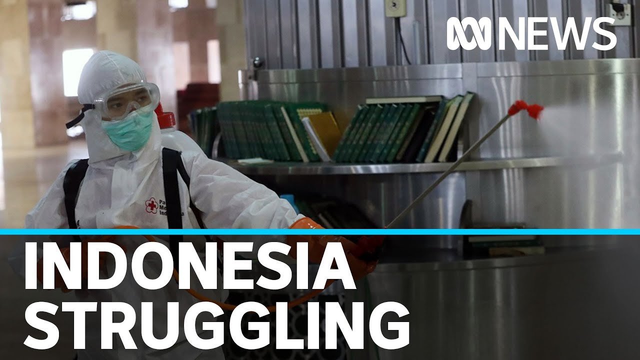 Indonesia struggles to contain coronavirus | ABC News