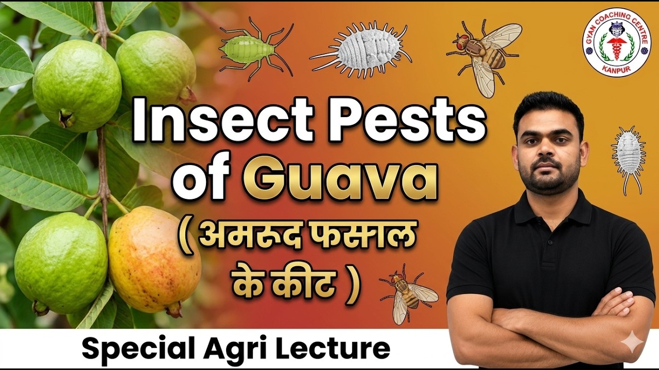 Insect Pest Of Guava | By Dharmendra Sir | #bscagriculture #mscagriculture #jrf #tgt #pgt