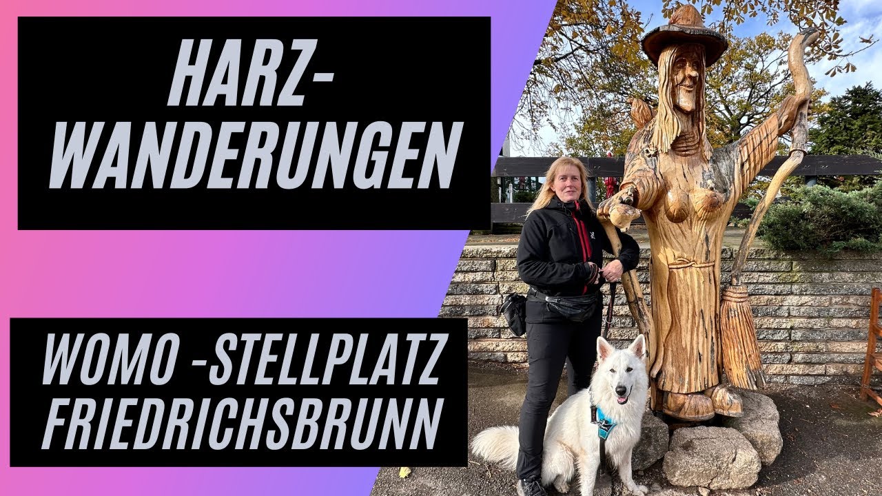 Womo-Stellplatz Bocksberg in Friedrichsbrunn und Wanderungen durch dn Harz