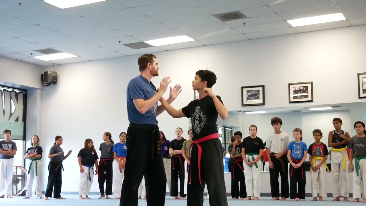 Kung Fu San Soo - Kids