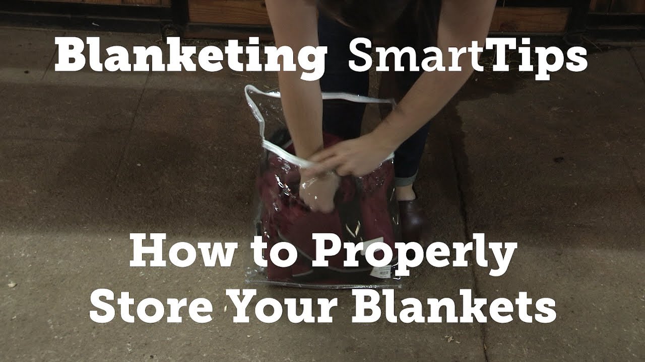 Horse Blanketing SmartTip: How to Properly Store Your Blankets