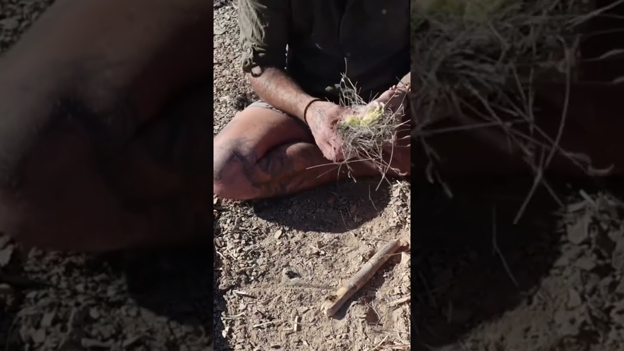 How To Transfer A Hand Drill Coal Into A Tinder Bundle