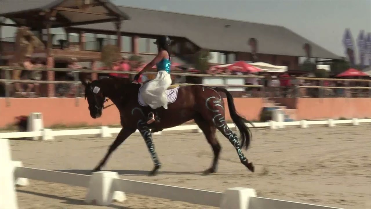 DRESSAGE CLUB 2 RLM CHAMPIONNAT DE FRANCE 2019 LAMOTTE