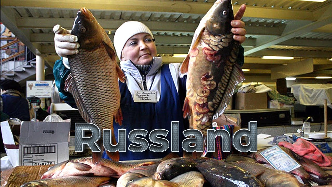 1000 км от Москвы/ Где купить дешевую северную рыбу??? 🐠 Жизнь россиян недалеко от Арктики