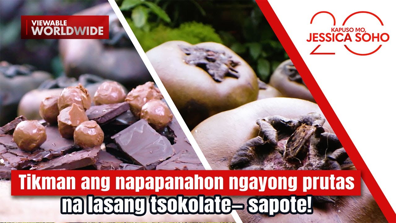 Tikman ang napapanahon ngayong prutas na lasang tsokolate— sapote! | Kapuso Mo, Jessica Soho
