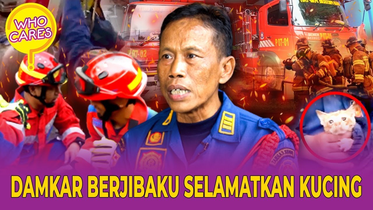 MENGHARUKAN! PETUGAS DAMKAR SUSAH PAYAH EVAKUASI KUCING | Who Cares ID