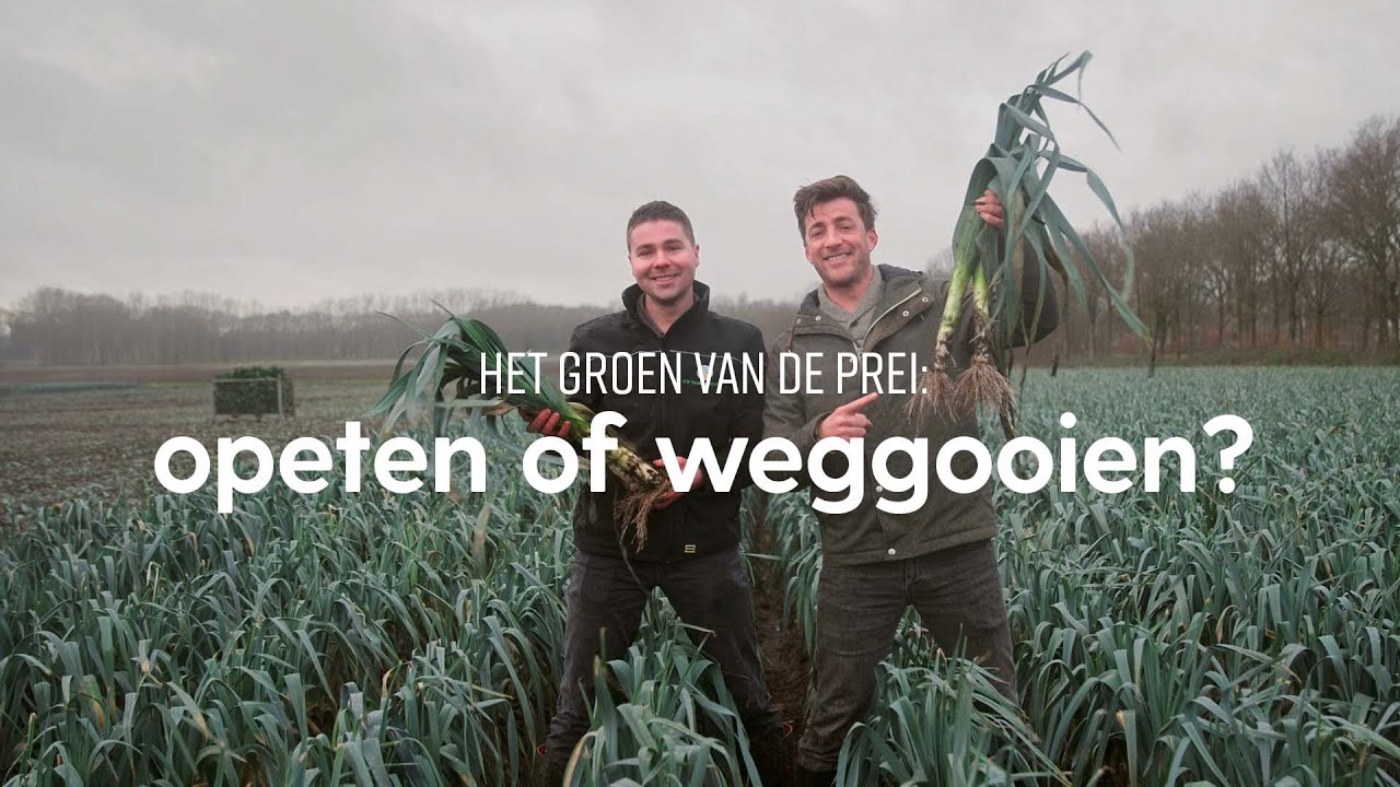 Prei snijden: wel of niet het groen eten? | Dit is het seizoen | Allerhande
