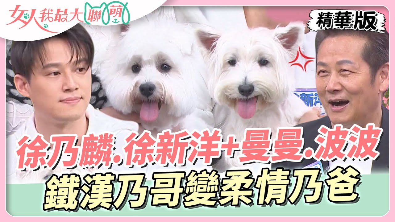 徐乃麟、徐新洋+曼曼、波波！鐵漢乃哥變柔情乃爸！家裡的電梯都是＂曼波＂在坐？ 女人我最大 20230710