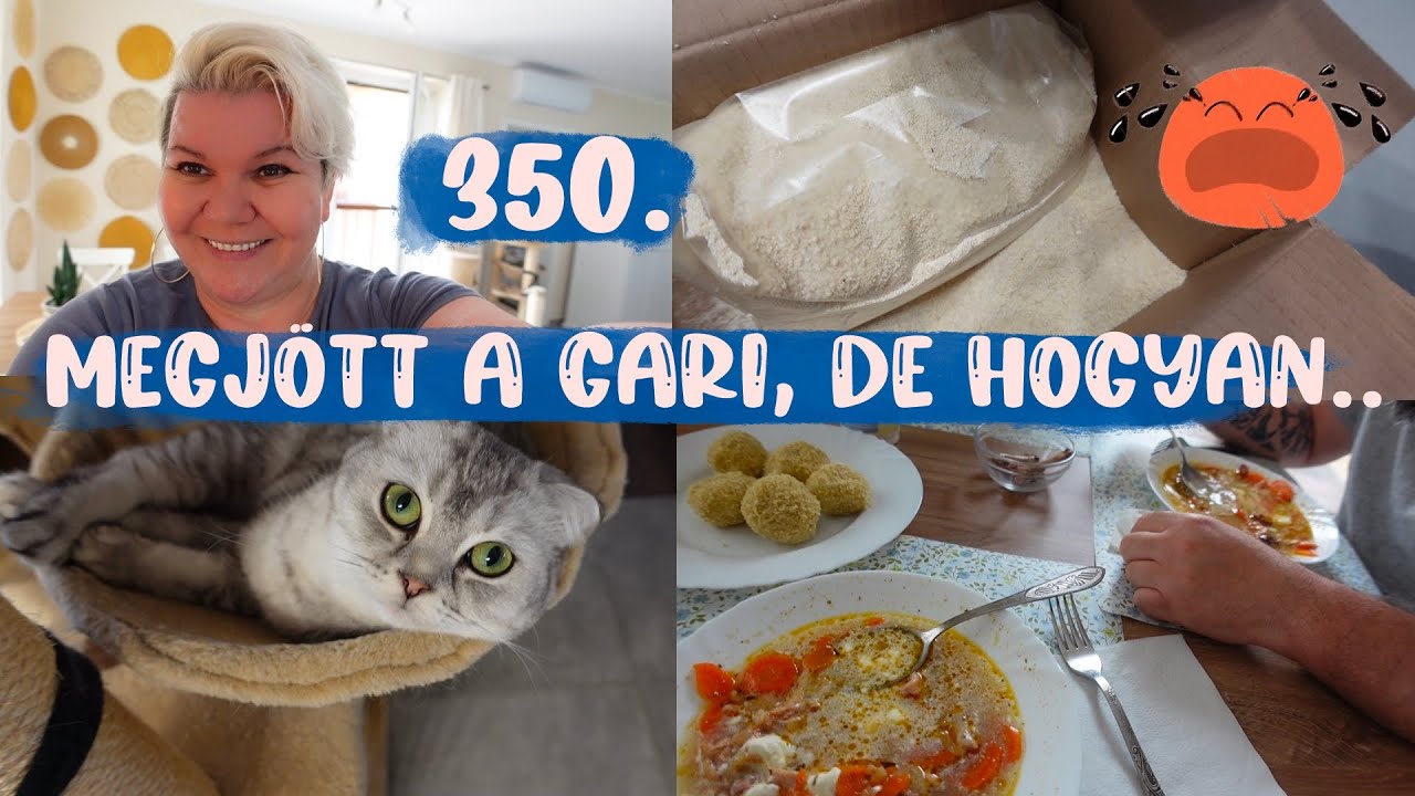 Megjött a Gari, de hogyan? 350.rész