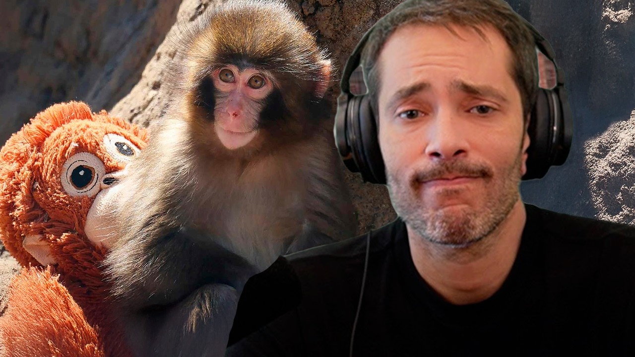 Chapado Live #110