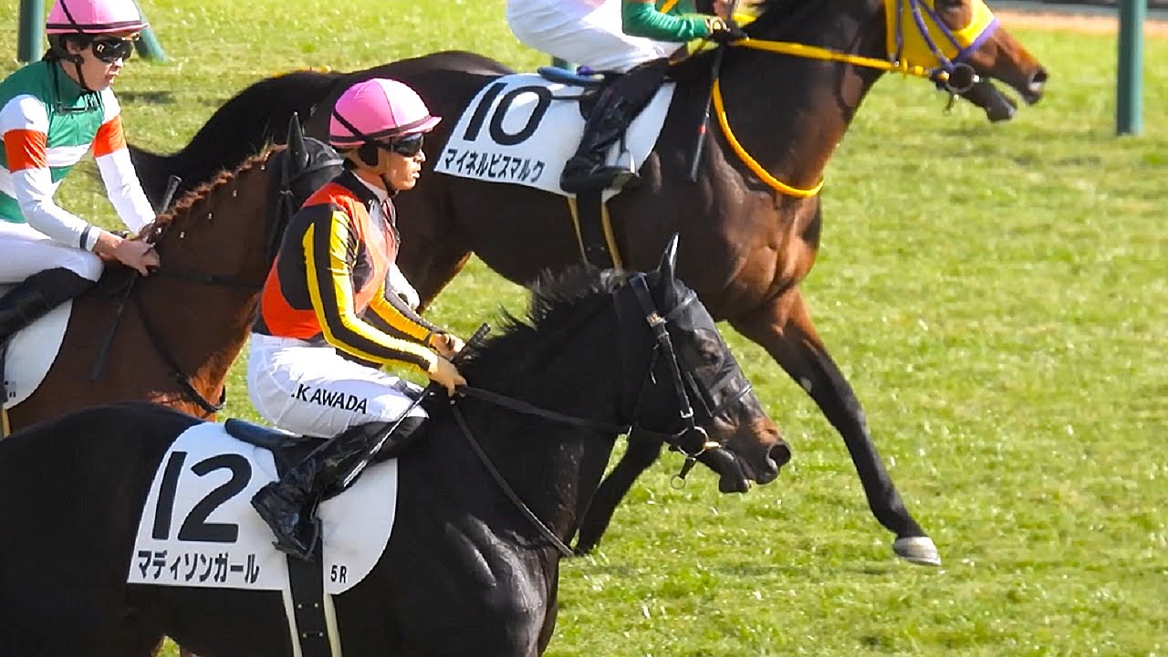 【追悼・3冠牝馬リバティアイランド🐴半妹キズナ産駒 マディソンガール＆川田将雅騎手 デビュー戦を見事勝利❗❗😊ダイジェスト版】メイクデビュー京都 2歳新馬 2024.11.30