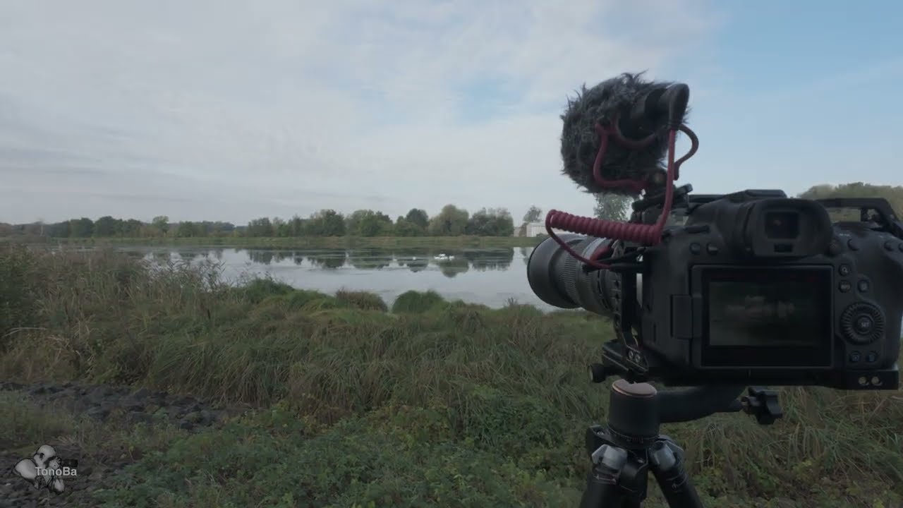 ToNoviny z přírody 21 - Ráno u Dyje