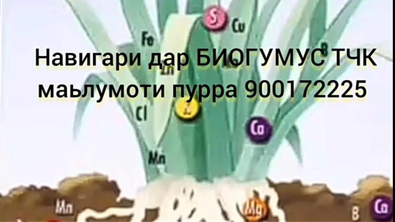 Навигари дар БИОГУМУС ТЧК маьлумоти пурра 900172225