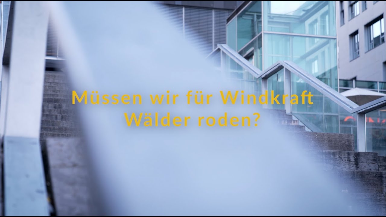 Windkraft im Aufwind: Müssen wir für Windkraft Wälder roden?