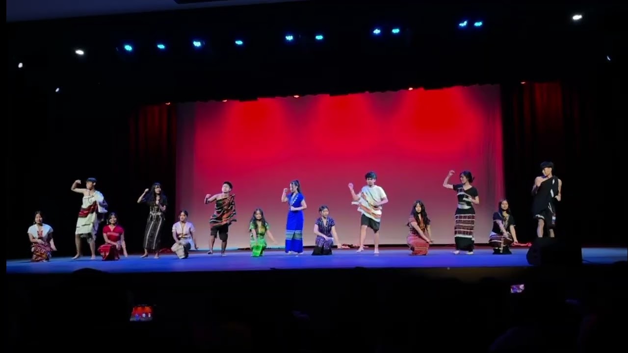 PHS international night birds of chin state 2026