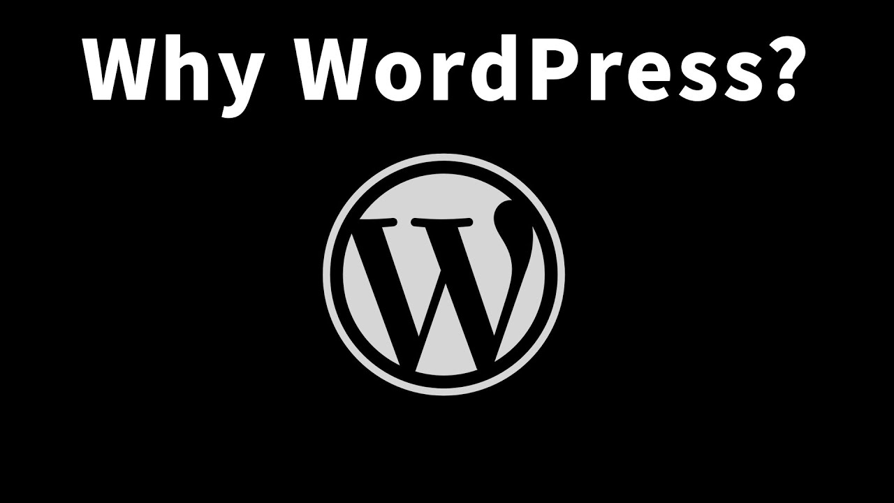 Why WordPress? In 100 Seconds