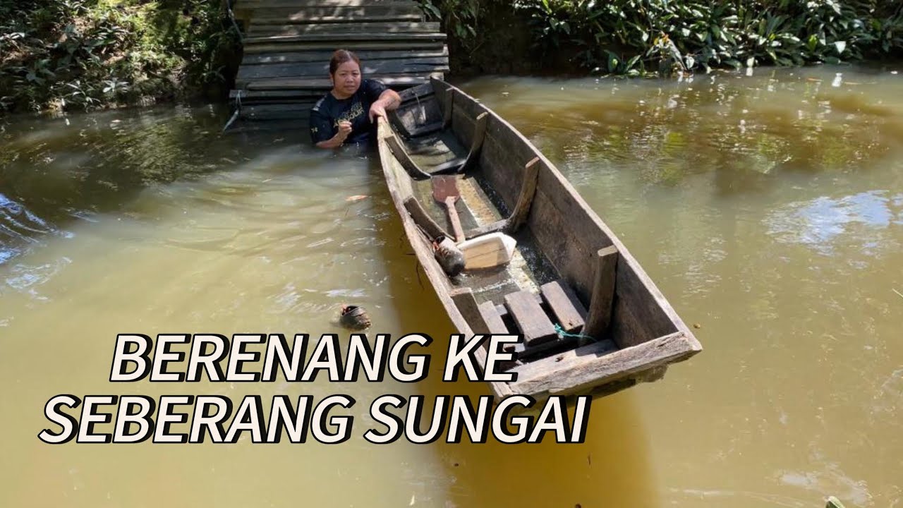 JALAN PINTAS BERENANG KE SEBERANG SUNGAI || CARI DAUN SABUNG