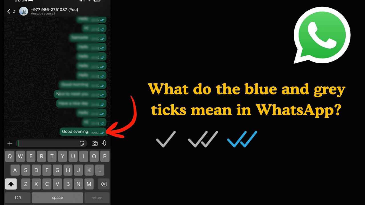 Что означают синие и серые галочки в WhatsApp?