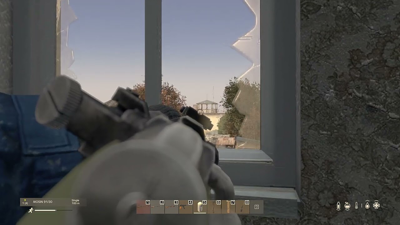 Sniping without a scope in DayZ (elite precision)