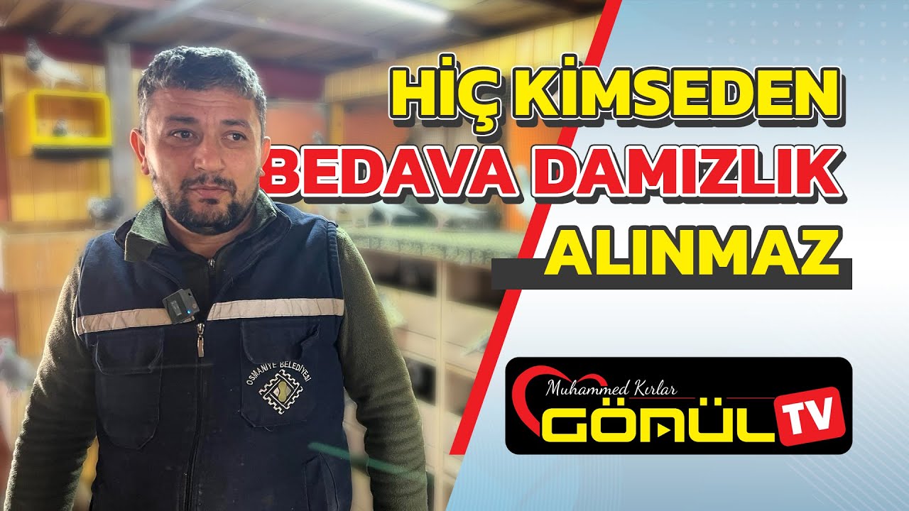 BEN GÜZEL KUŞUMU KİMSEYE BEDAVA VERMEM. CÜNEYT ŞİMŞEK