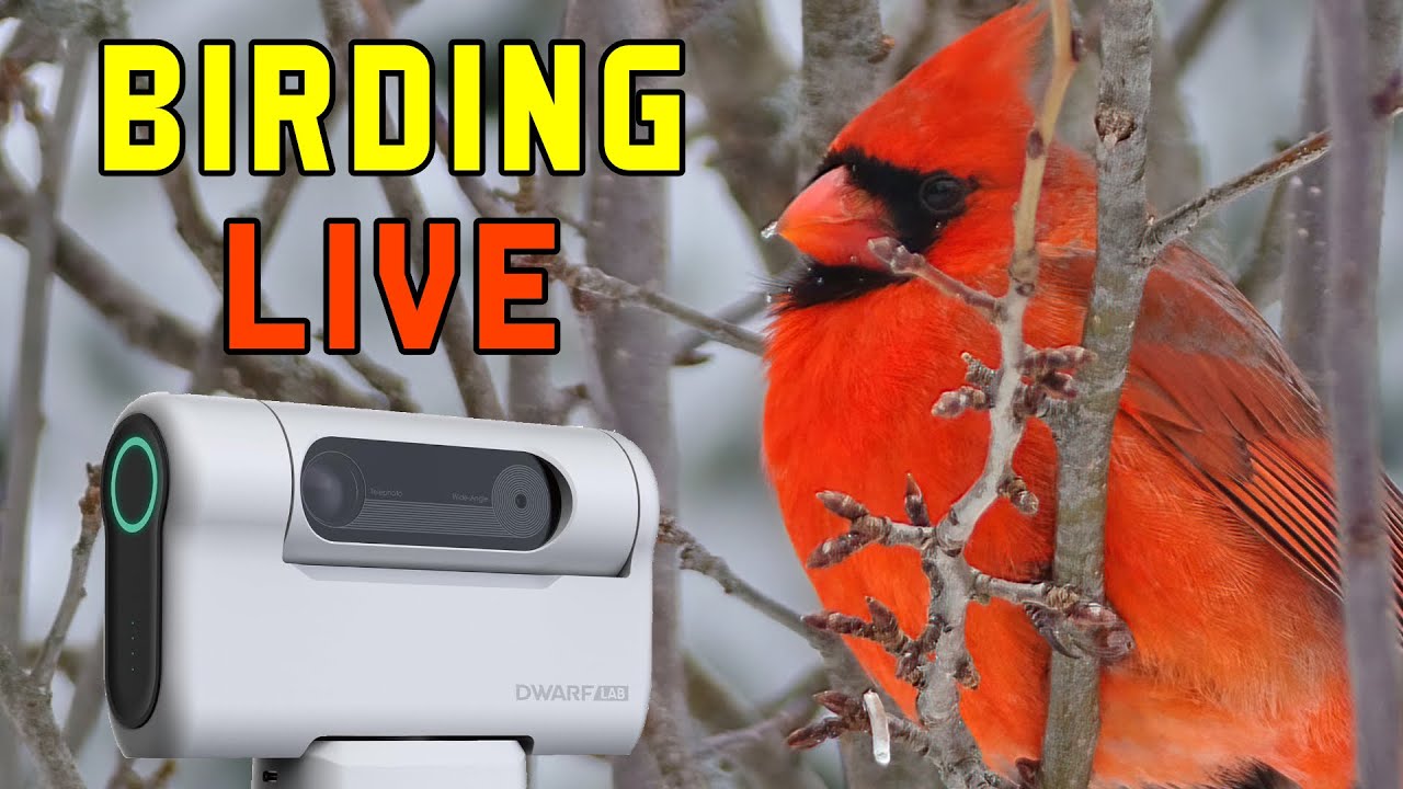 Live Birding Session with the Dwarf II Smart Telescope
