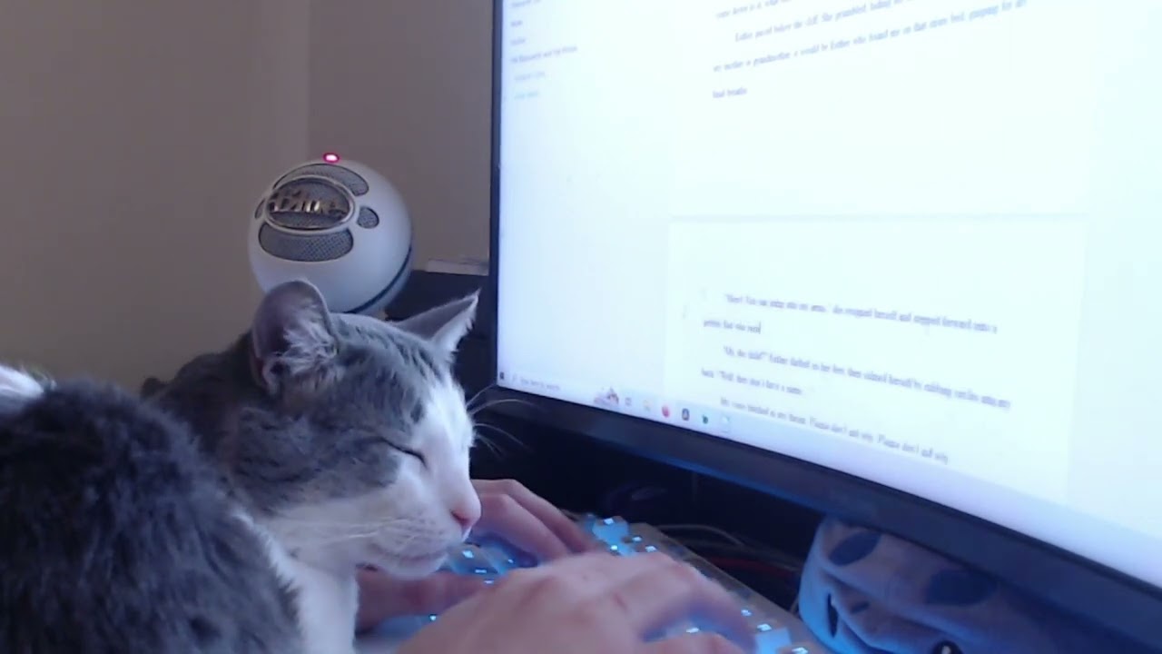 ✏️write with me for NaNoWriMo ~ LOFI music + ADHD Body Doubling ~ Silent Co-Working