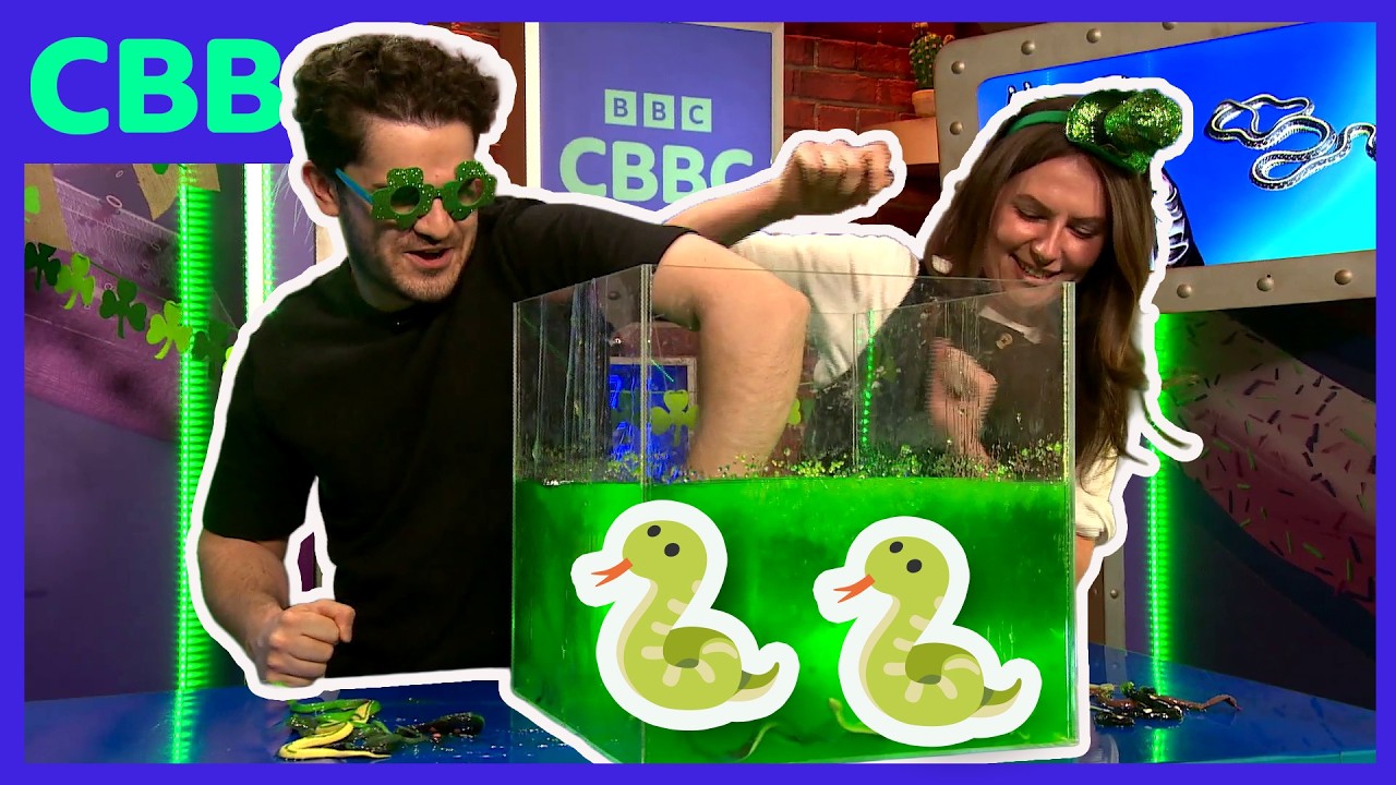 Craic Latha Fhèill Pàdraig Aig CBBC ☘️🪉🟩| CBBC ALBA | BBC ALBA