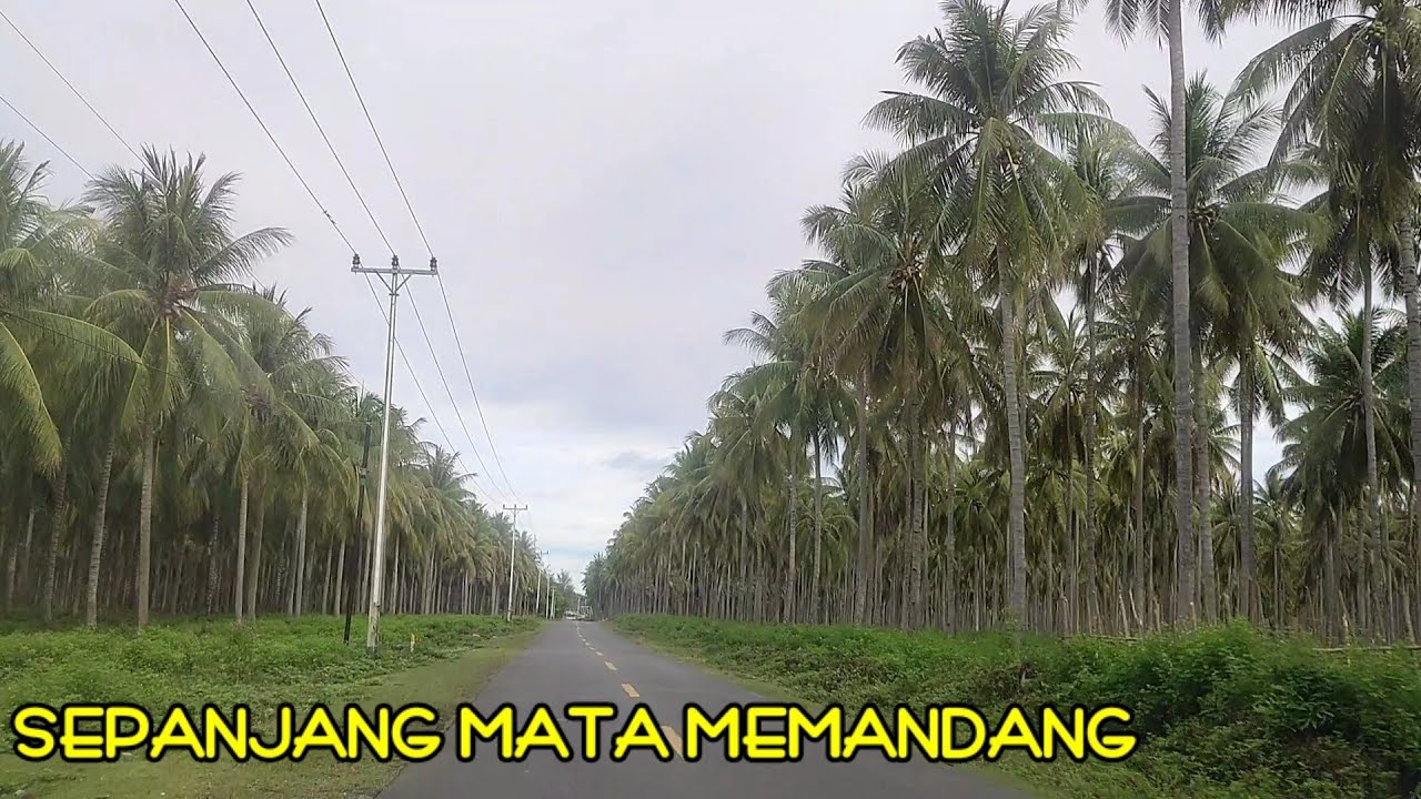 SEPANJANG MATA MEMANDANG !! Chipo99 & family