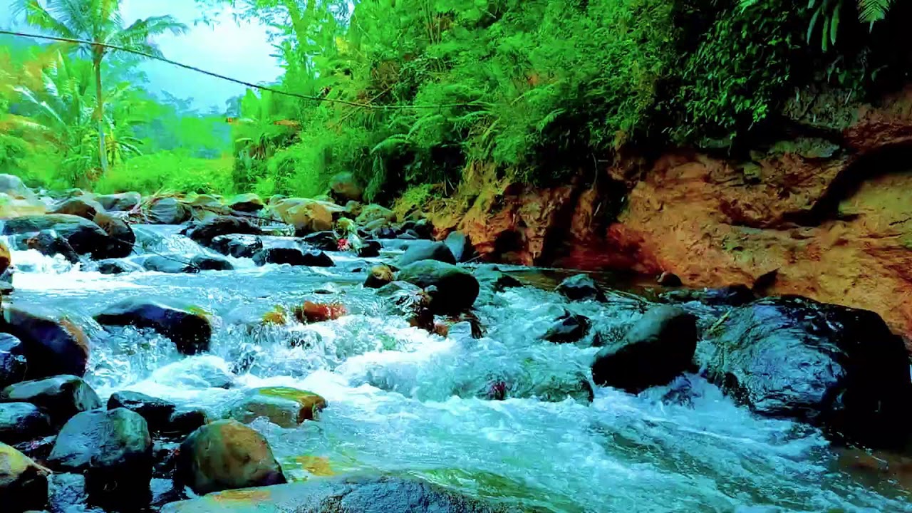 Forest River Flow Ambience in a Hidden Woodland for Deep Sleep, Natural Rest, and Healing