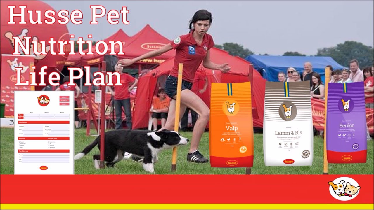 Husse franchise video prospectus 2015/2016