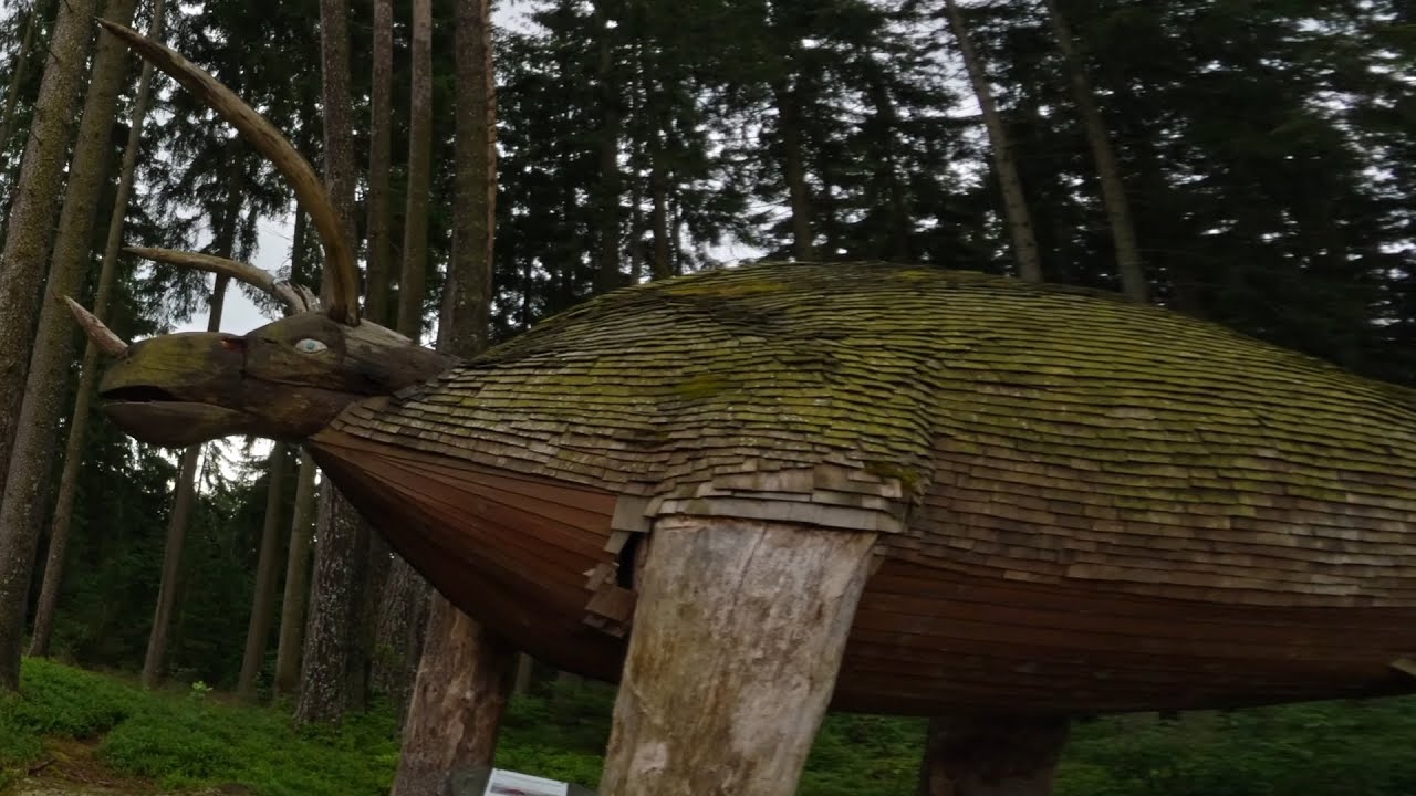 Tour #5: Zwischen Wurzeln, Wald und.... einem Dino?! 🦕 [MTB, Brust-POV, 4K, HV]