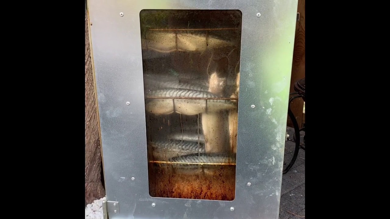 Fische R&auml;uchern (Makrele Forelle) Gas R&auml;ucherofen Teil 2