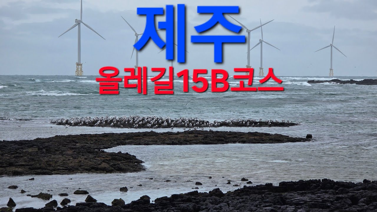 제주 올레길15B코스