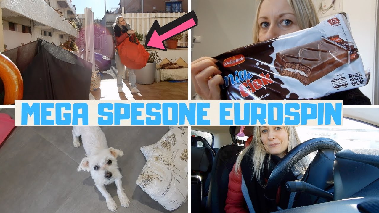 MAXI SPESONE EUROSPIN * SCORTA DI SCHIFEZZE* ||missgerberinavlog 2021