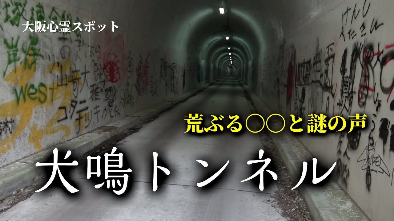 【心霊スポット】犬鳴トンネルで荒ぶる〇〇と車内に潜むナニカ