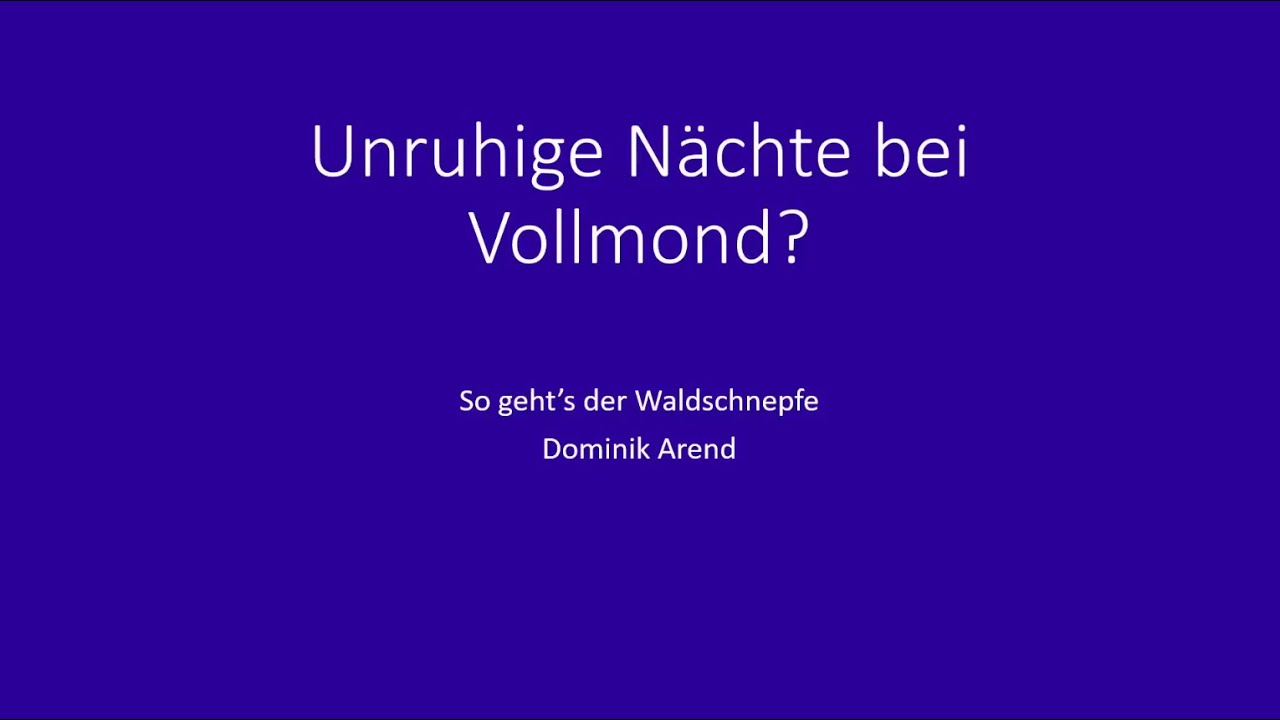 Unruhige N&auml;chte bei Vollmond? So geht's der Waldschnepfe